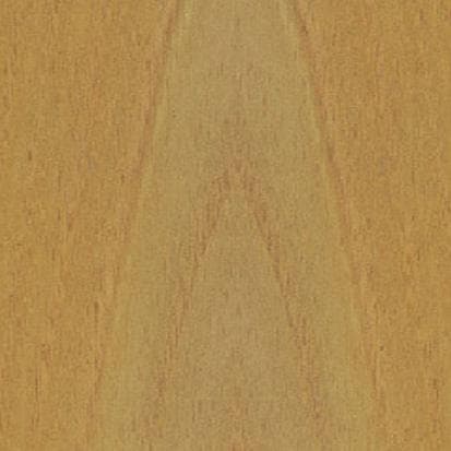 acacia