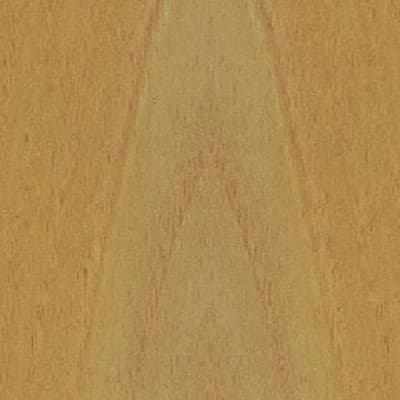 acacia
