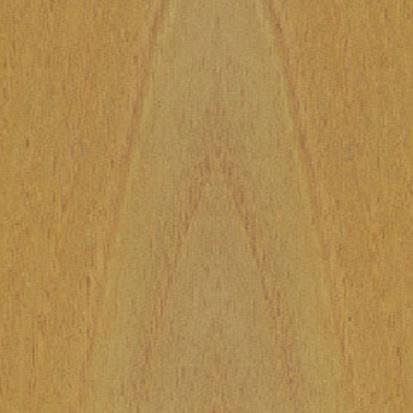 acacia